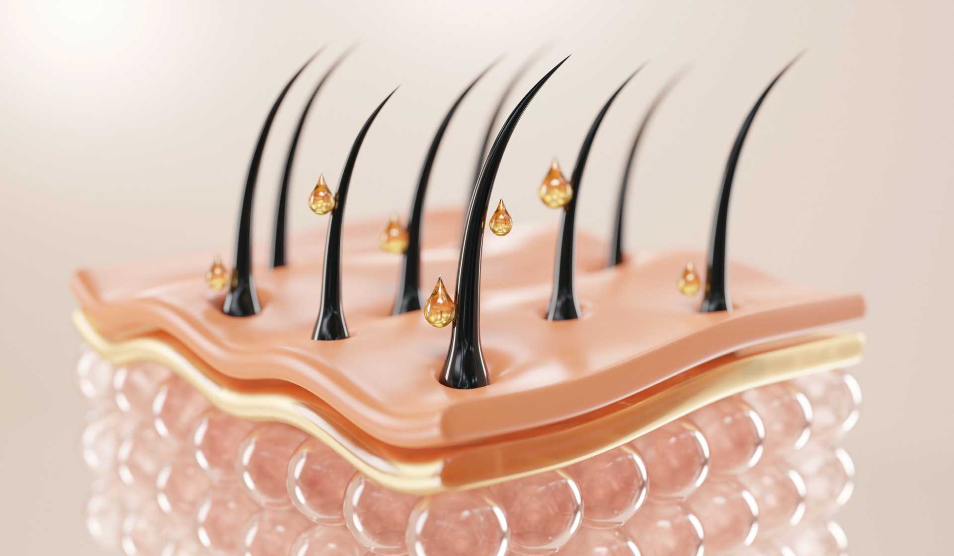 Nourish hair of shampoo or serum. stock photo
